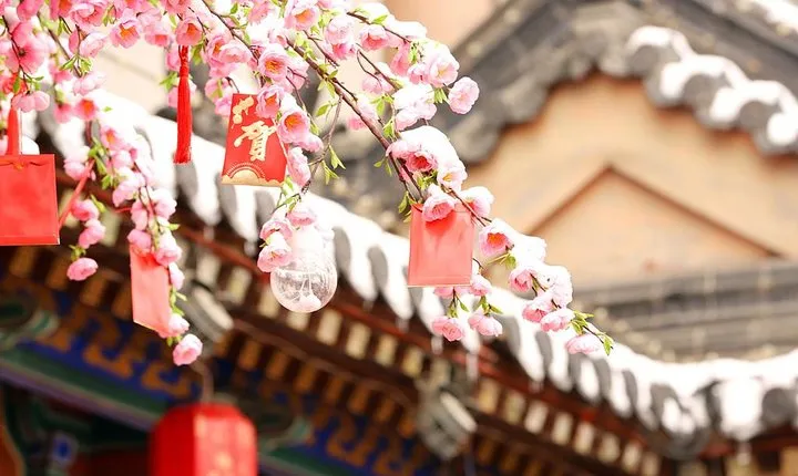 2-Day Private Classic Xi'an City Tour from Beijing by Bullet Train