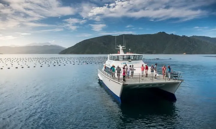 Seafood Odyssea Marlborough Sounds Cruise from Picton