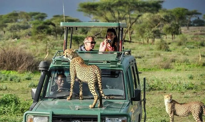 5 Days Tanzania Safari with Serengeti