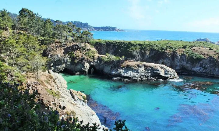 Point Lobos - A Private Charming Ocean Tour