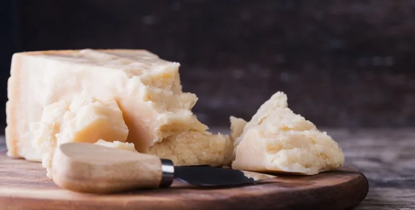 Parmigiano Reggiano and Lambrusco Wine half day tour from Parma