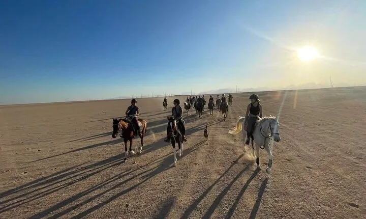 Bedouin Dinner, Egyptian Show and Horse Ride tour 1 Hour - Sharm El Sheikh