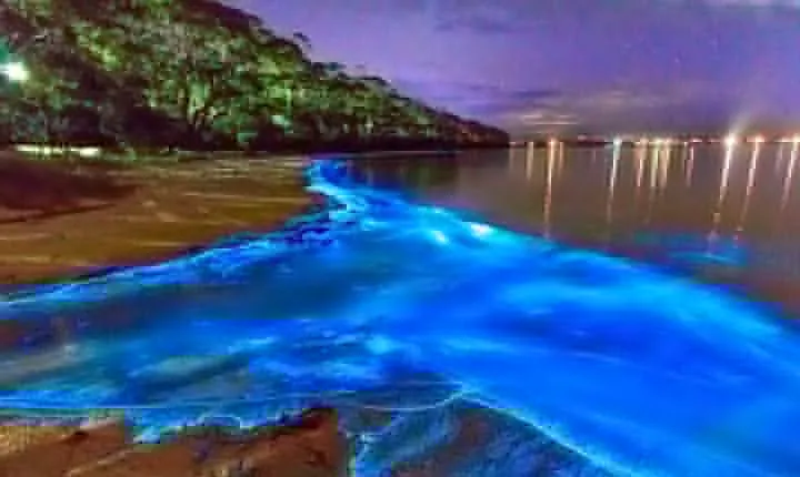 Luminous Lagoon Small Group Tour from Montego Bay