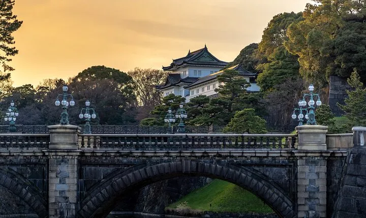 Full Day Tokyo Private Tour by Luxury Vehicle