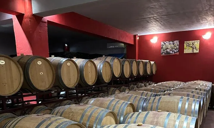 Private Full Day Tour to Nemea Wineries from Attica