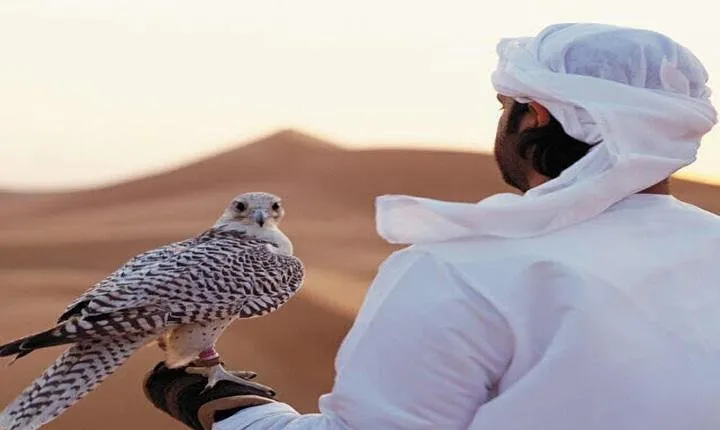 Arabian Desert Experience In Dubai 