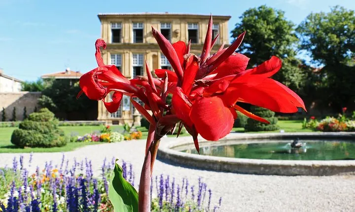 Aix-en-Provence private half-day walking tour culture & markets