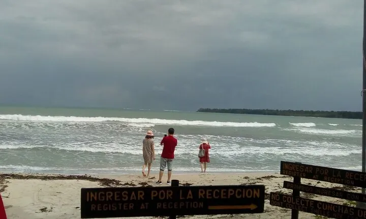 Half-Day Wildlife Hiking Tour of Cahuita National Park