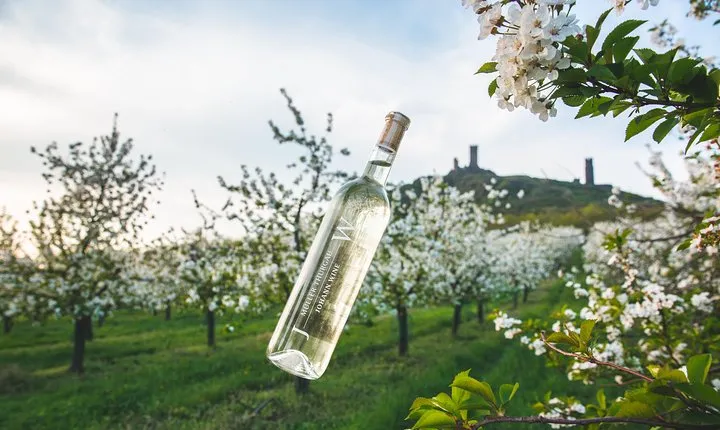 A delightful wine tasting in the scenic countryside with lunch