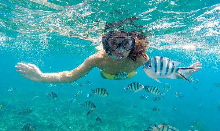 Private Abu Dabbab Snorkeling Sea Trip With Transfer :Marsa Alam