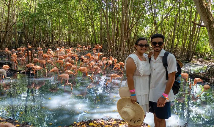 Full-Day Tour Isla Baru - National Aviary of Colombia and Playa Blanca