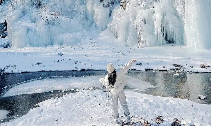 Eobi Ice Wall & Nami Island & Morning Calm Light Festival