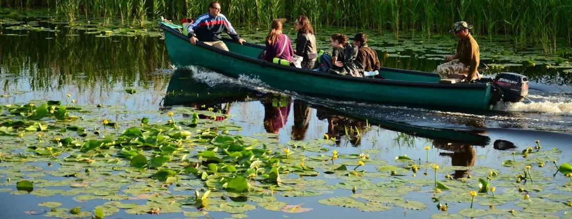 Danube Delta guided tour with boat trip and lunch from Constanta