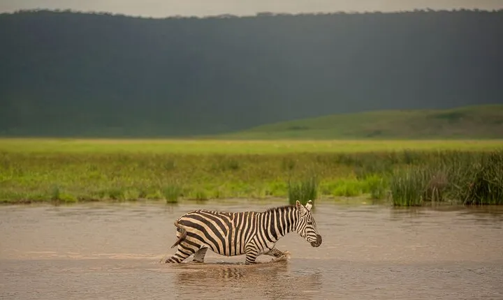 6 Days Private Budget Camping Tour