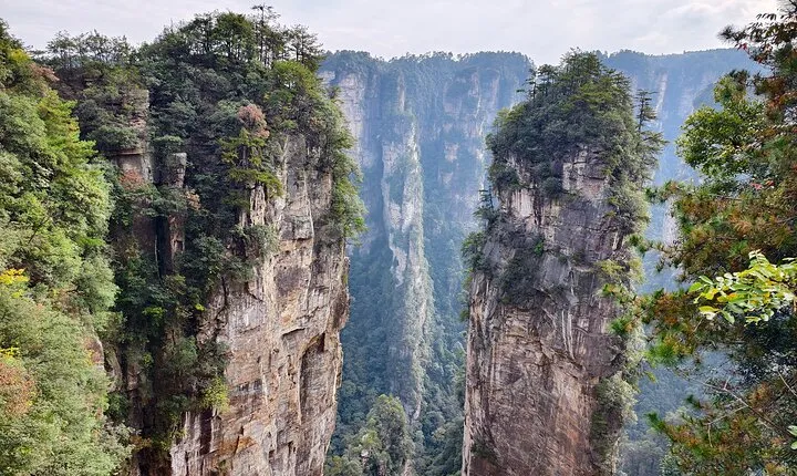Zhangjiajie National Forest Park Tickets Booking