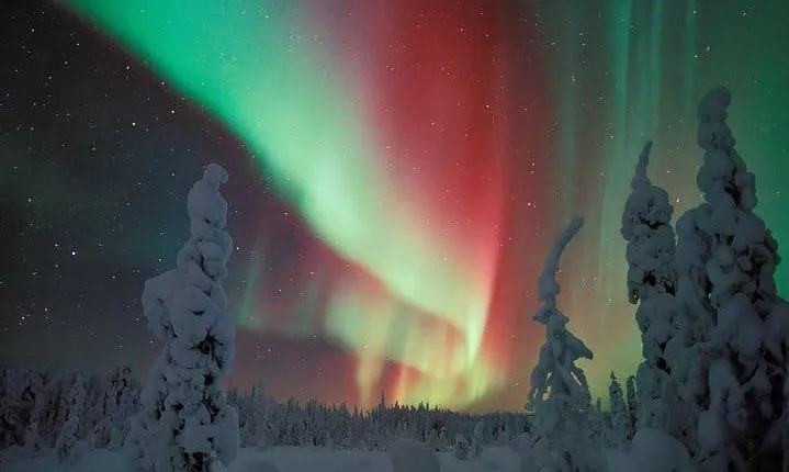 Northern Lights Hunt Including Snacks on Campfire from Levi