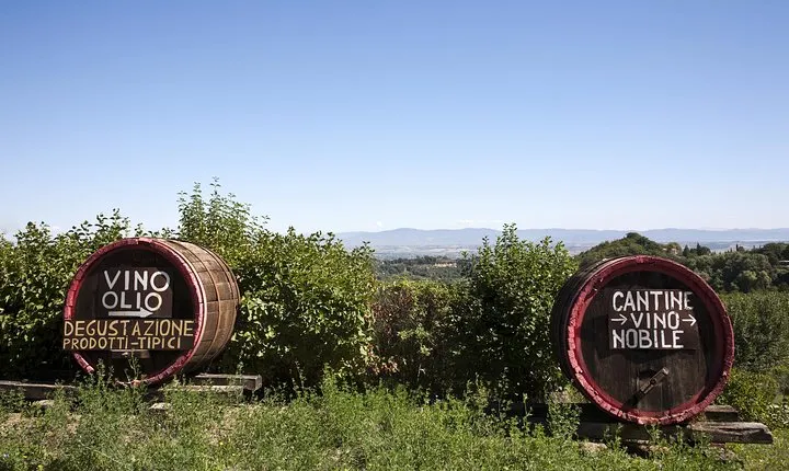 Chianti Region and San Gimignano including wine tasting and light lunch