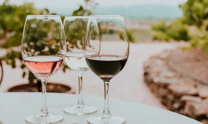 Siena in 3 Wines: Exclusive Wine Tasting with an Expert & Food Pairing