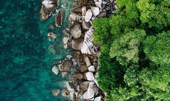 Chauffeur: Kuala Lumpur to Mersing Transfer [Car]