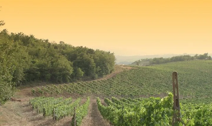 Luxury Chianti Tour