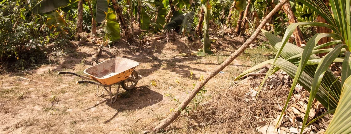 Full Day Tour at a Sustainable Farm from Saly with Lunch