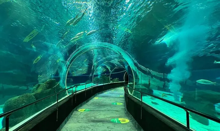 AquaRio Rio de Janeiro Tickets Only