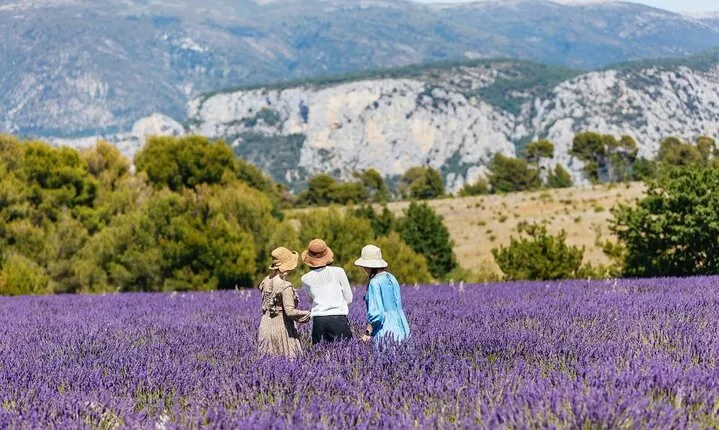 Private Tour of Gorges of Verdon and Fields of Lavender in Nice