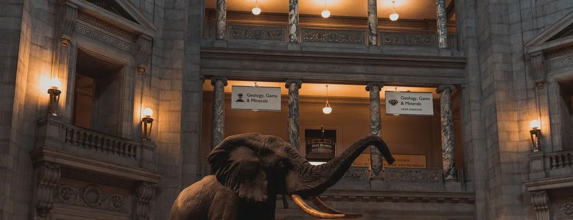 Smithsonian National Museum of Natural History self-guided audio tour
