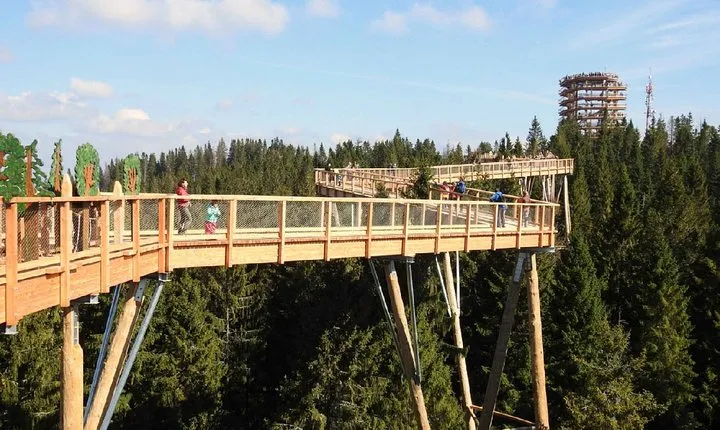 Full-Day Tour of Zakopane and Slovakia Treetop from Krakow