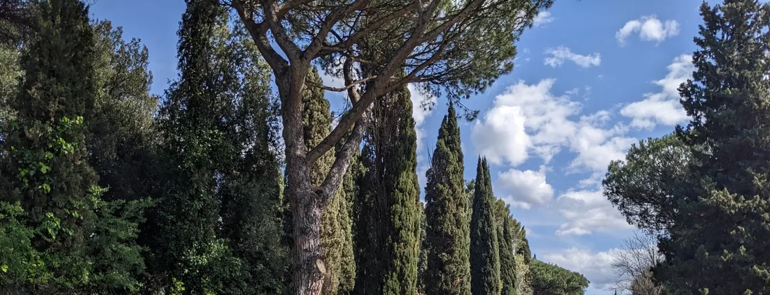 Appia Antica and Aqueducts E-bike Shared Tour