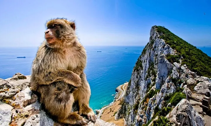 *Private Day Trip* Gibraltar and Bolonia from Jerez