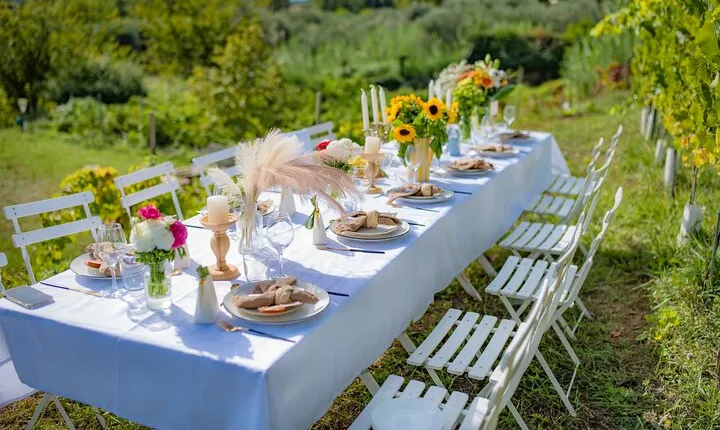 Dinner in the Vineyard French Riviera