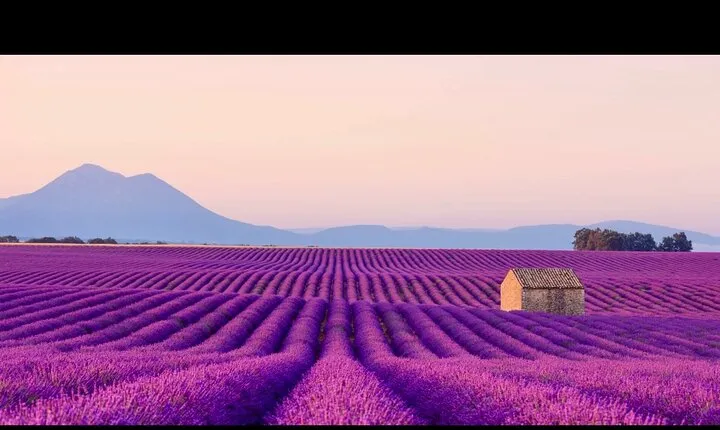 Lavender - Verdon Canyon - Castellane - Moustier - Small Group