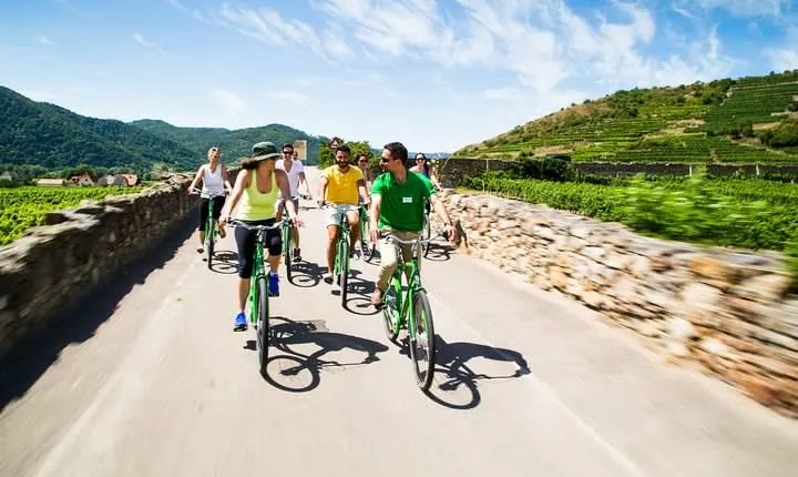 Wachau Valley Wine Tasting Bike Tour from Vienna