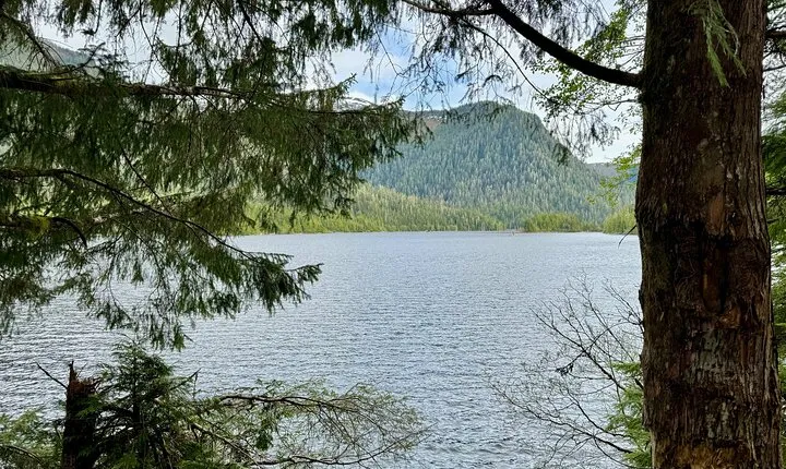 Explore Tongass National Forest on Connell Lake Trail Hike