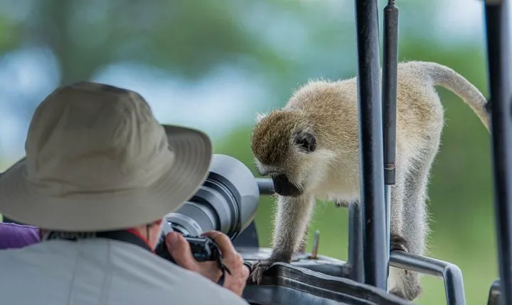 10 Days / 9 Nights Join group safari