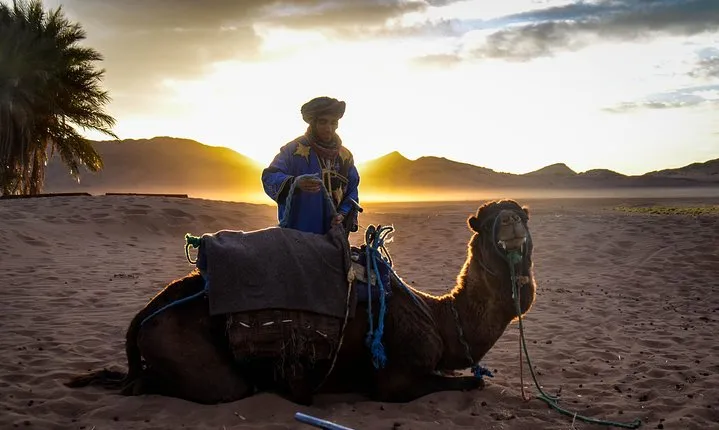 Zagora Desert: 2-Day Trip from Marrakesh