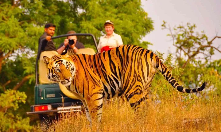  Private Golden Triangle Delhi Agra Jaipur with Ranthambore
