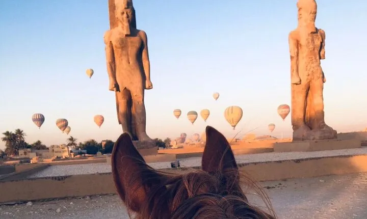 Private Horse Riding Tour in Luxor West Bank