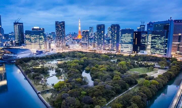 Customizable Private Tokyo Tour with an English-speaking Driver