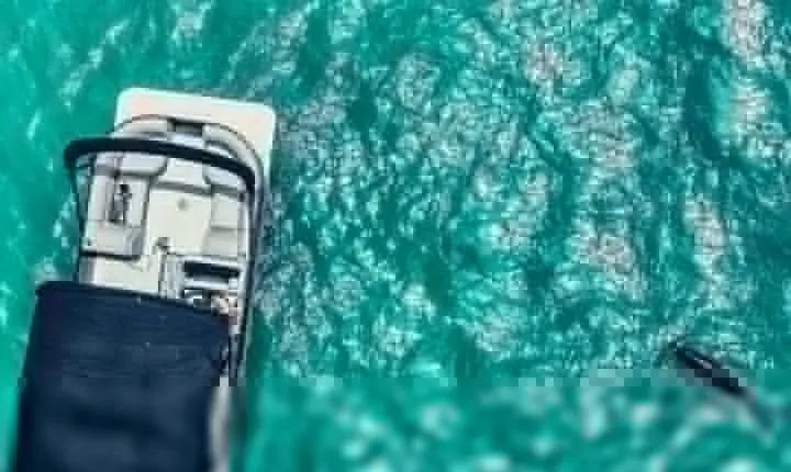 Clearwater Beach Private Pontoon Boat Tours