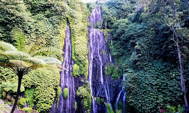 Exclusive Day Tour Waterfalls in Bali 