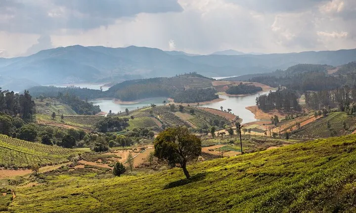 Day Trip to Coonoor (Guided Sightseeing Tour by Car from Ooty)