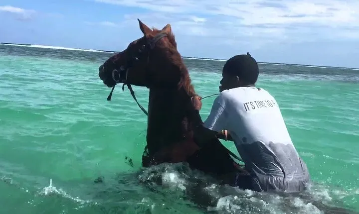 Martha Brae Rafting, Horseback Riding and Luminous Lagoon - Triple Treat