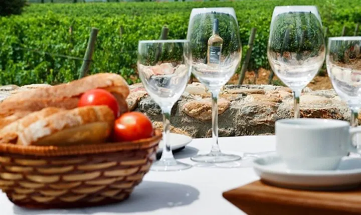 Wines Tasting and Typical Breakfast Small Group Tour from Girona