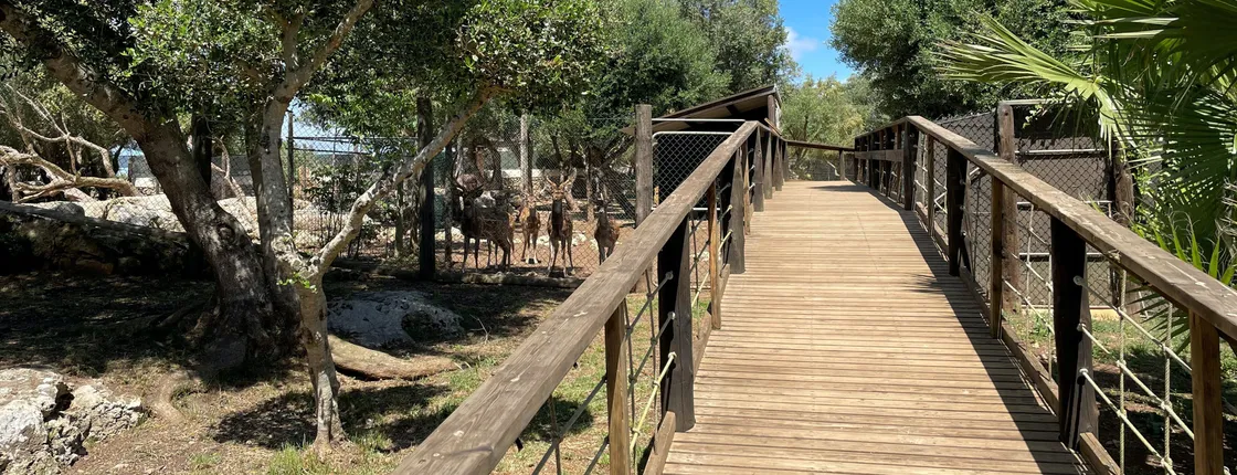 Lloc de Menorca Animal Park Ticket