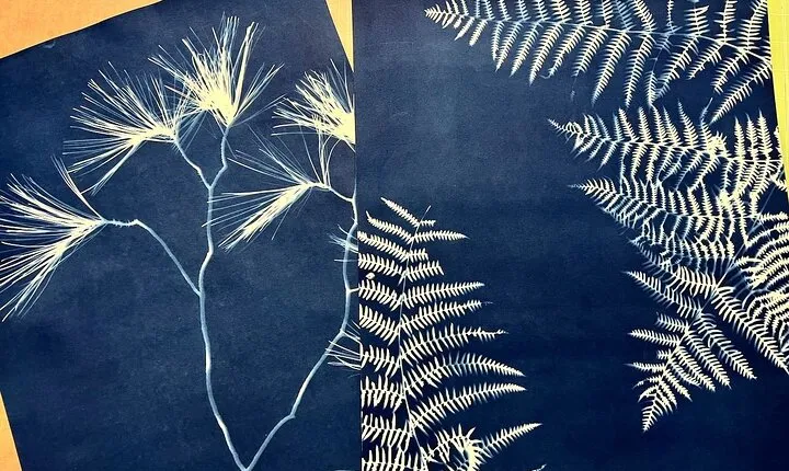 Make Sun Prints in the Desert