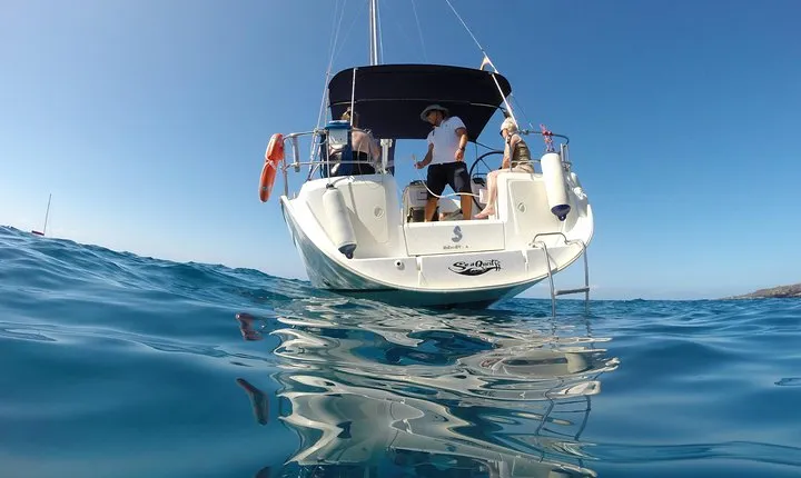 South Coast Tenerife Cruise