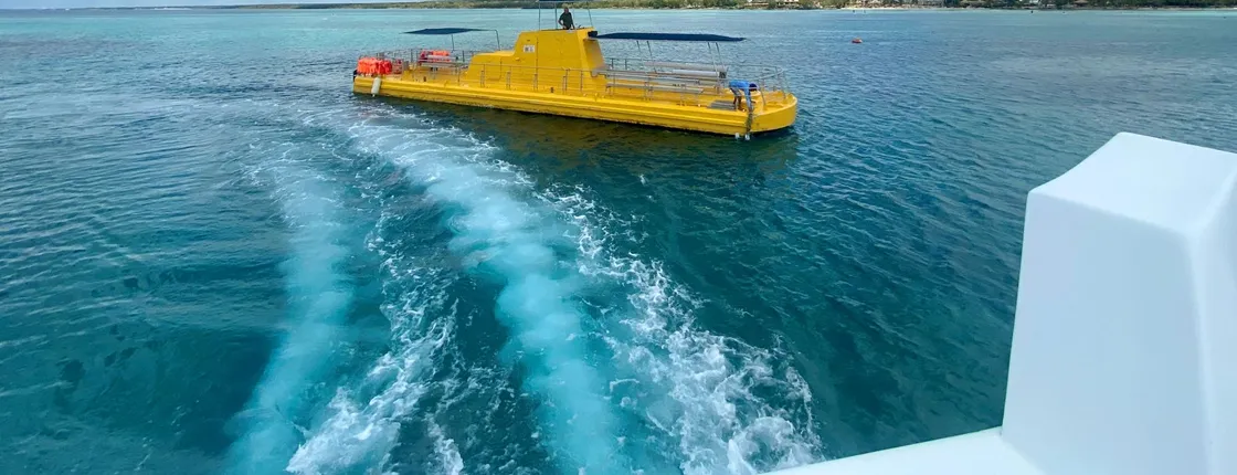 Saona Tour with VIP Lunch and Semi Submarine