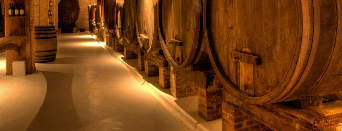 Primitivo & Negroamaro Wine Tour from Lecce with Typical Lunch